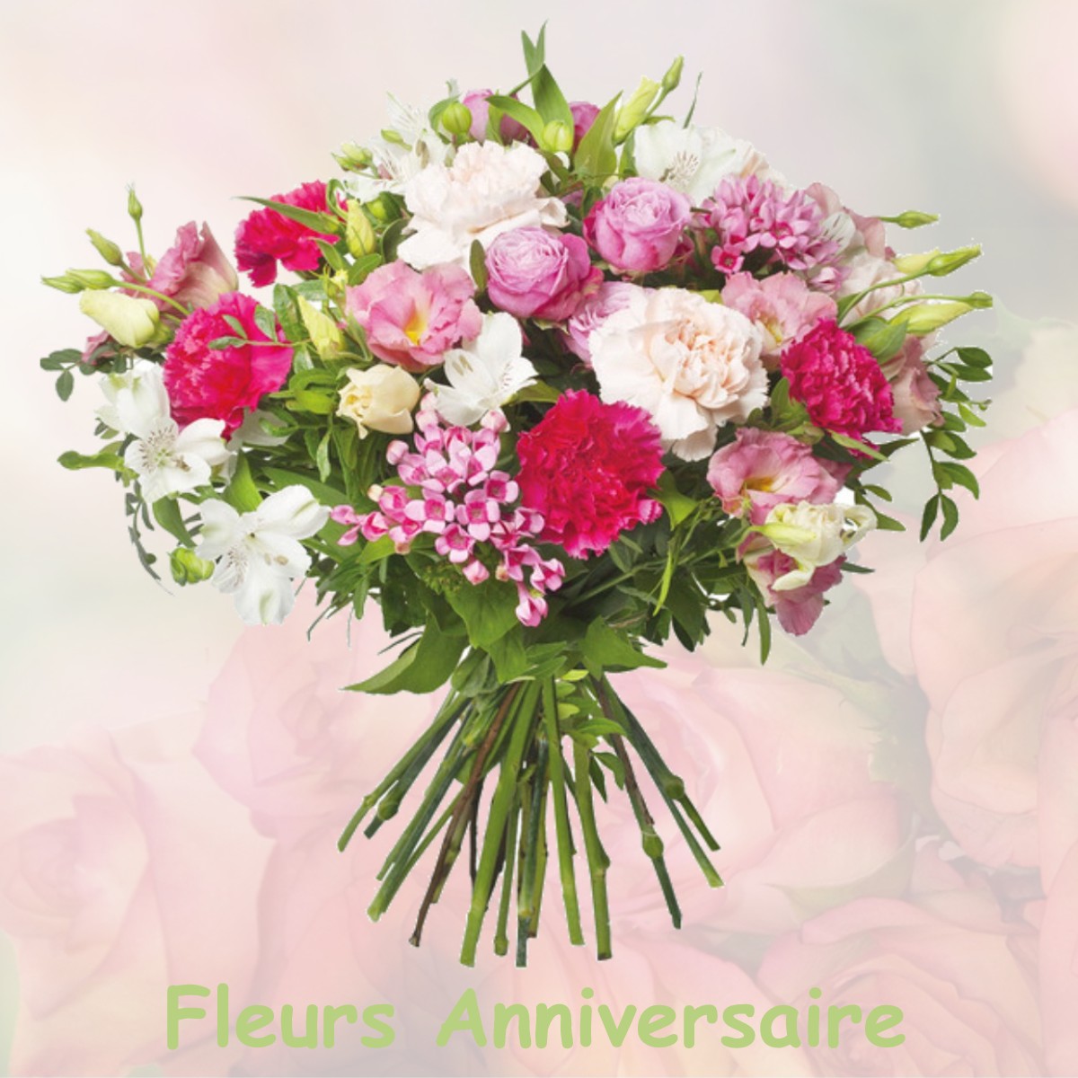 fleurs anniversaire NEUVICQ-LE-CHATEAU